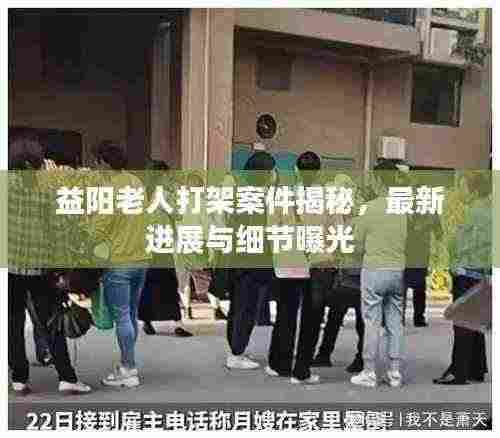 益阳老人打架案件揭秘,最新进展与细节曝光