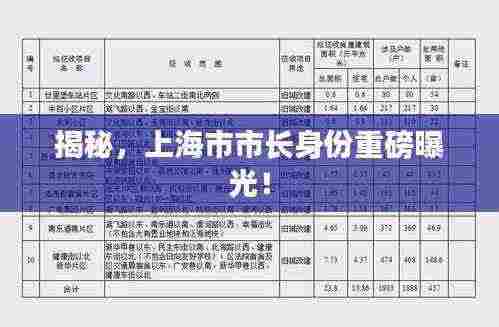 揭秘,上海市市长身份重磅曝光!