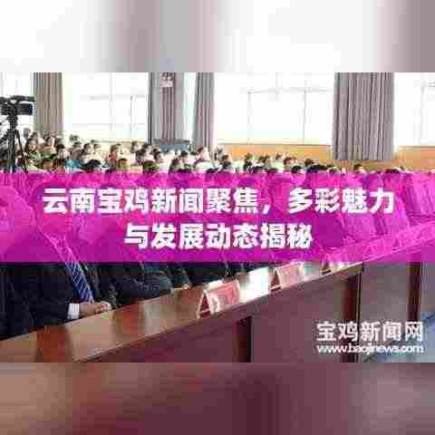 云南宝鸡新闻聚焦,多彩魅力与发展动态揭秘