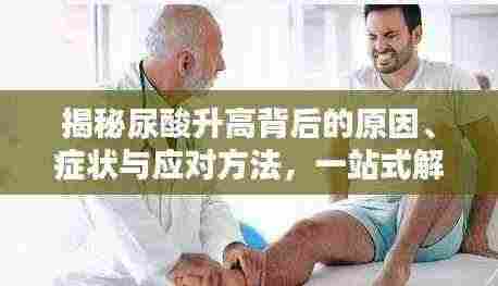 揭秘尿酸升高背后的原因、症状与应对方法,一站式解决尿酸问题!