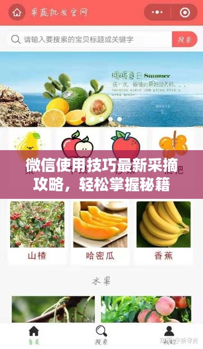 微信使用技巧最新采摘攻略,轻松掌握秘籍
