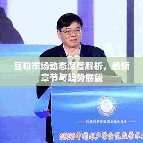 豆粕市场动态深度解析,最新章节与趋势展望