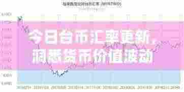 今日台币汇率更新，洞悉货币价值波动
