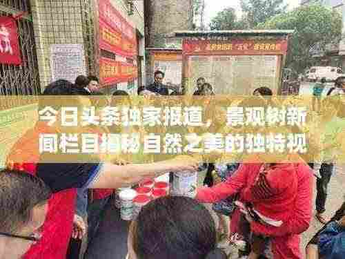 今日头条独家报道,景观树新闻栏目揭秘自然之美的独特视角