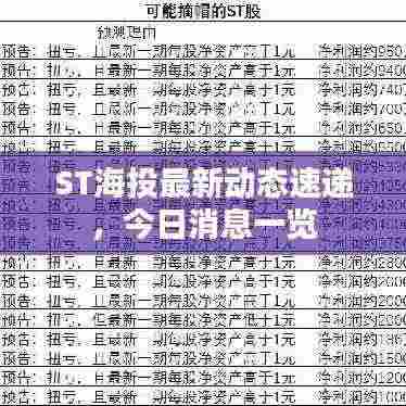 ST海投最新动态速递,今日消息一览