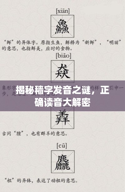 揭秘穑字发音之谜,正确读音大解密