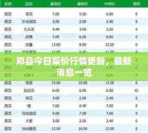 邓县今日菜价行情更新,最新消息一览