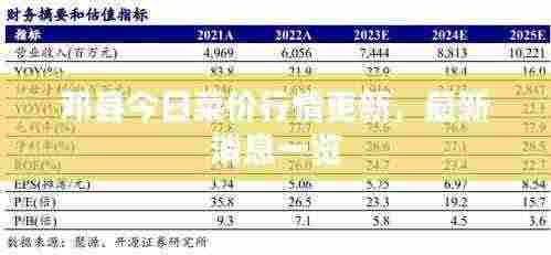 邓县今日菜价行情更新,最新消息一览