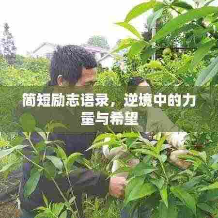 简短励志语录,逆境中的力量与希望