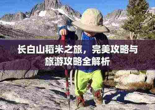 长白山稻米之旅,完美攻略与旅游攻略全解析