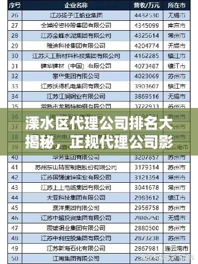 溧水区代理公司排名大揭秘,正规代理公司影响力榜单