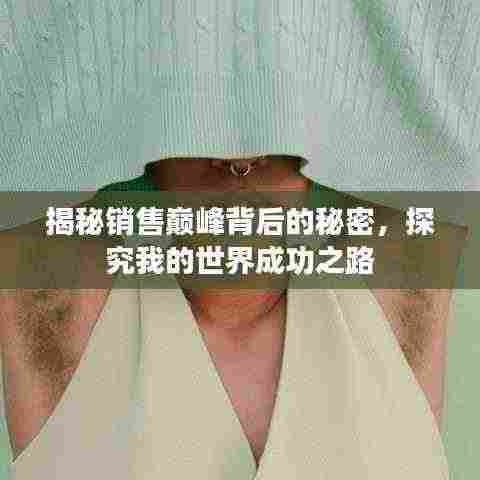 揭秘销售巅峰背后的秘密,探究我的世界成功之路