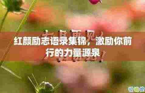 红颜励志语录集锦,激励你前行的力量源泉