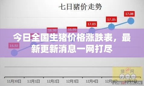 今日全国生猪价格涨跌表，最新更新消息一网打尽
