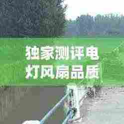 独家测评电灯风扇品质排名TOP 10，选购指南一网打尽！