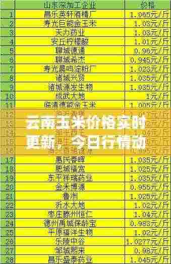 云南玉米价格实时更新，今日行情动态速递