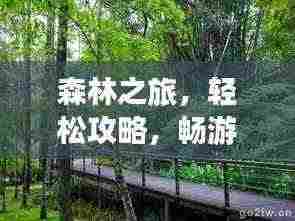 森林之旅,轻松攻略,畅游绿意盎然的世界