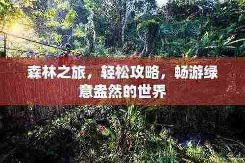 森林之旅,轻松攻略,畅游绿意盎然的世界