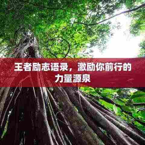 王者励志语录,激励你前行的力量源泉