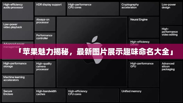 「苹果魅力揭秘,最新图片展示趣味命名大全」