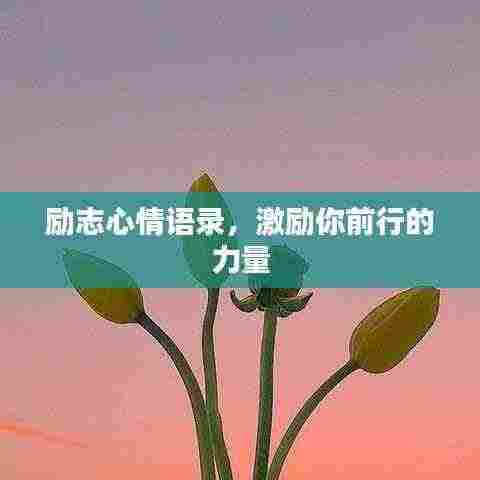 笼中之鸟 第4页