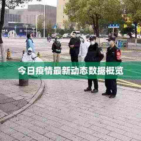 今日疫情最新动态数据概览