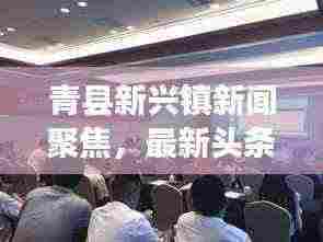 青县新兴镇新闻聚焦，最新头条报道
