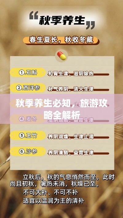 秋季养生必知,旅游攻略全解析