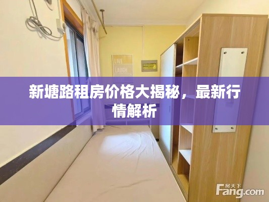 新塘路租房价格大揭秘,最新行情解析