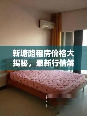 新塘路租房价格大揭秘,最新行情解析