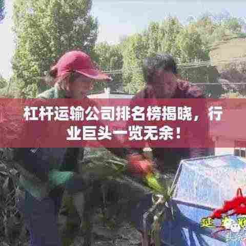 杠杆运输公司排名榜揭晓，行业巨头一览无余！