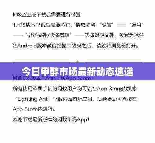 鸟吏鼈官 第3页