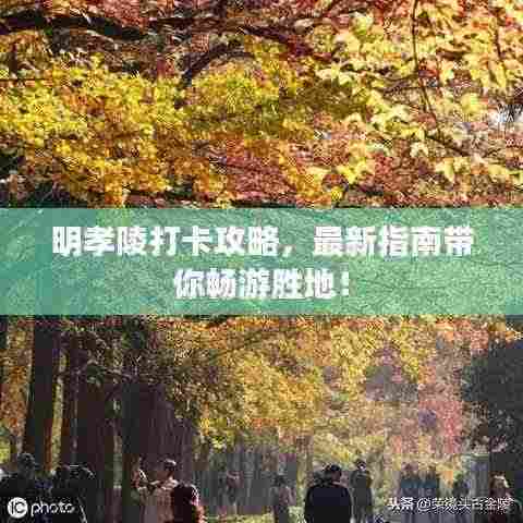 明孝陵打卡攻略,最新指南带你畅游胜地!