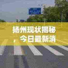 扬州现状揭秘，今日最新消息速递