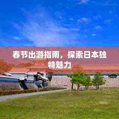 春节出游指南,探索日本独特魅力
