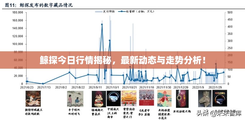 鲸探今日行情揭秘,最新动态与走势分析!