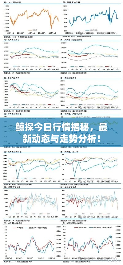 鲸探今日行情揭秘,最新动态与走势分析!
