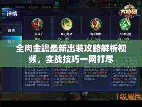 全肉金蟾最新出装攻略解析视频,实战技巧一网打尽