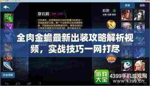 全肉金蟾最新出装攻略解析视频,实战技巧一网打尽