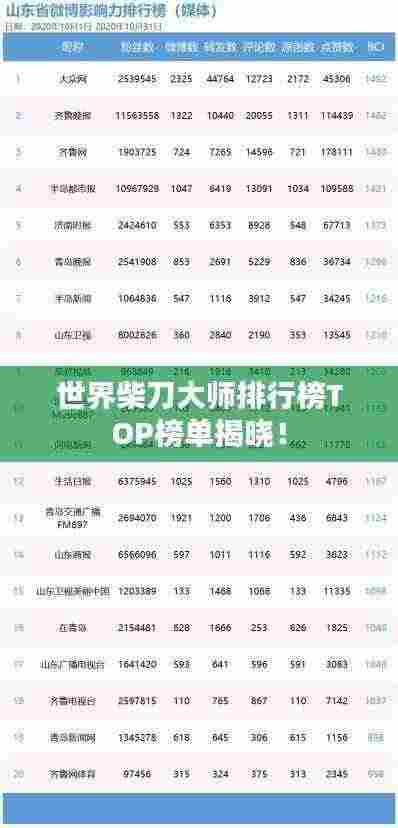 世界柴刀大师排行榜TOP榜单揭晓!