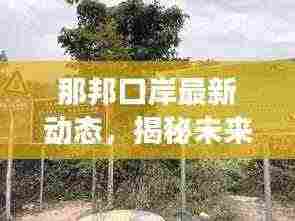 那邦口岸最新动态，揭秘未来规划与发展趋势，2024年重磅消息揭晓！