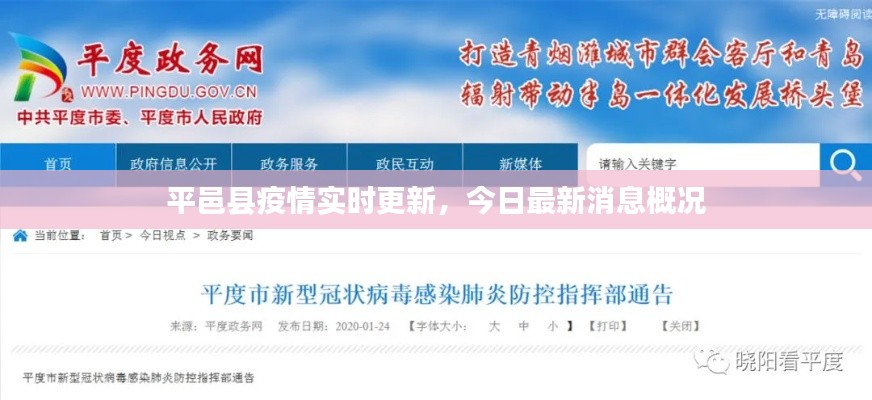 平邑县疫情实时更新,今日最新消息概况