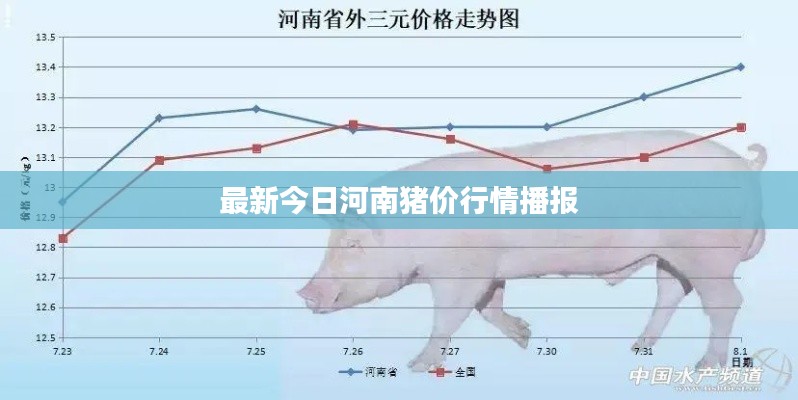 最新今日河南猪价行情播报