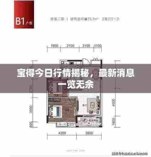 宝得今日行情揭秘,最新消息一览无余