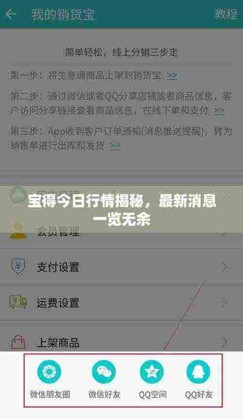 宝得今日行情揭秘,最新消息一览无余