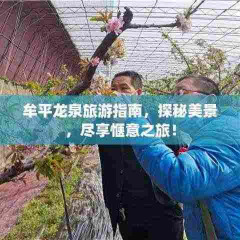 牟平龙泉旅游指南,探秘美景,尽享惬意之旅!