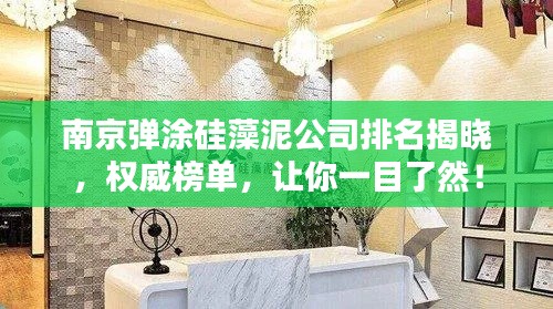 南京弹涂硅藻泥公司排名揭晓，权威榜单，让你一目了然！