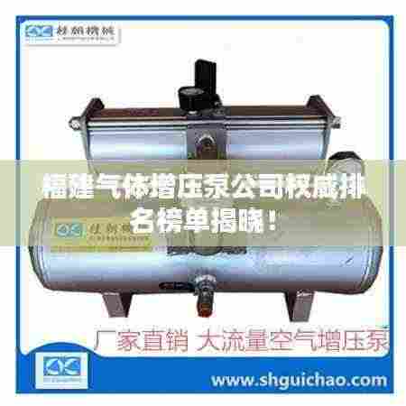 福建气体增压泵公司权威排名榜单揭晓!