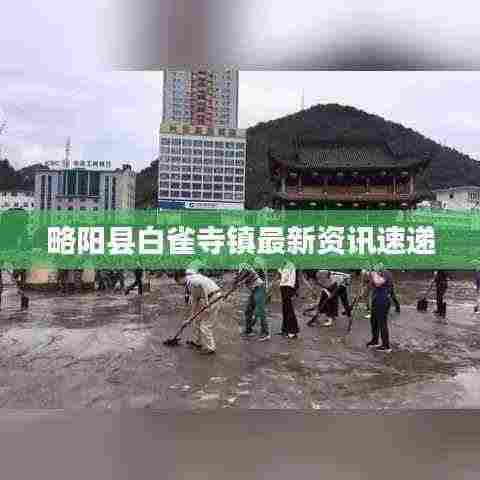 略阳县白雀寺镇最新资讯速递