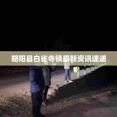 略阳县白雀寺镇最新资讯速递